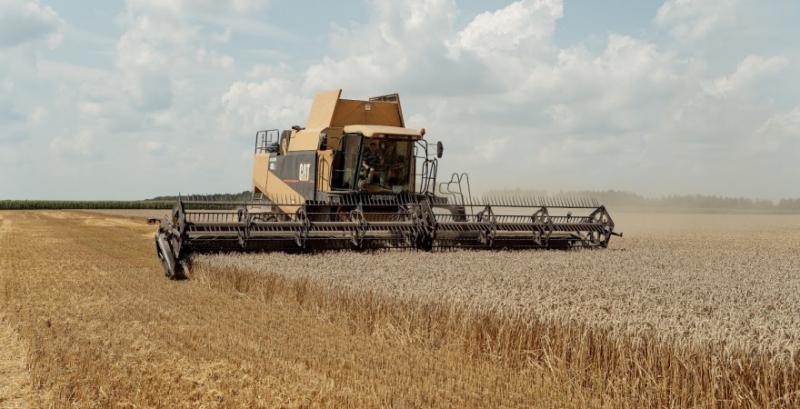Аграрії Харківщини намолотили 55 тисяч т зерна нового врожаю