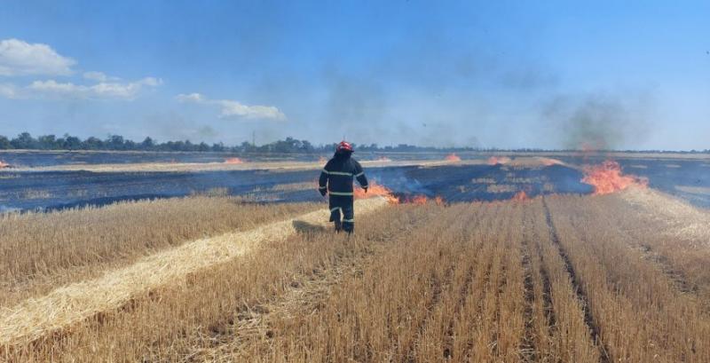 На Миколаївщині внаслідок обстрілу згоріло 230 га врожаю пшениці