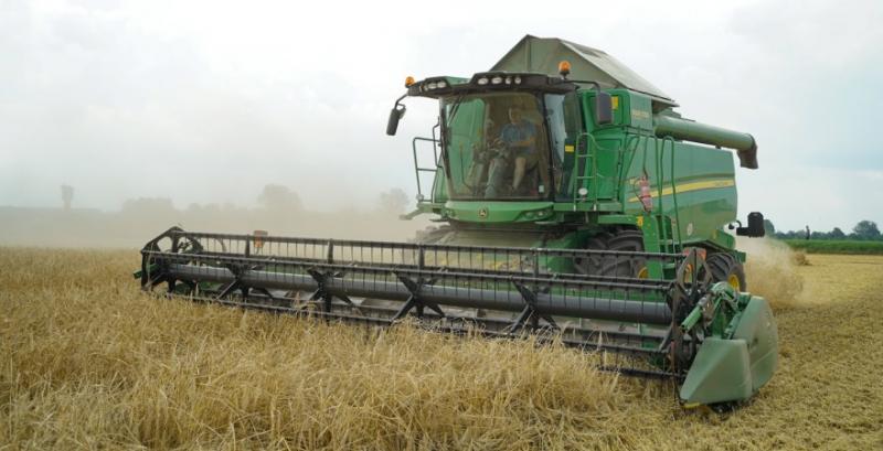 На Тернопільщині очікують рекордну врожайність ячменю