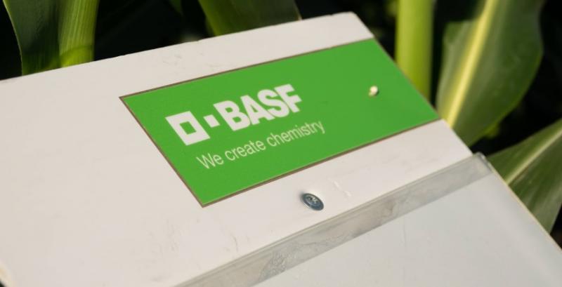 BASF згортає діяльність на росії та білорусі
