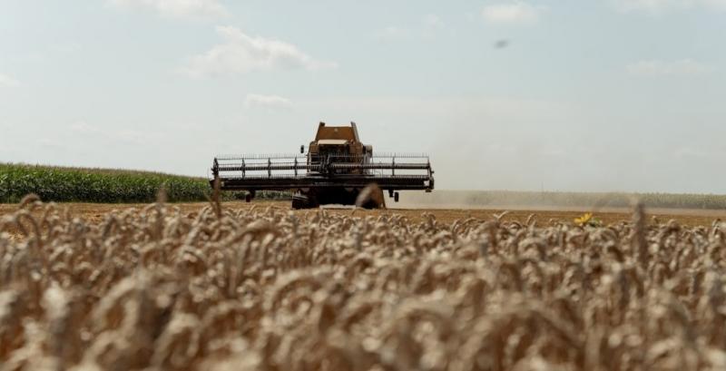 На Вінниччині завершується збір зернових ранньої групи при врожайності 4,4 т/га