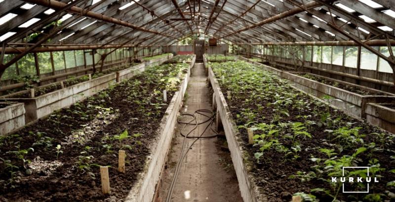 На Одещині побудують нові модульні теплиці для вирощування овочів