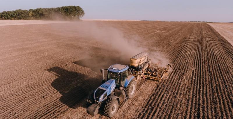 В Україні засіяно понад 400 тисяч га озимими зерновими під врожай 2023