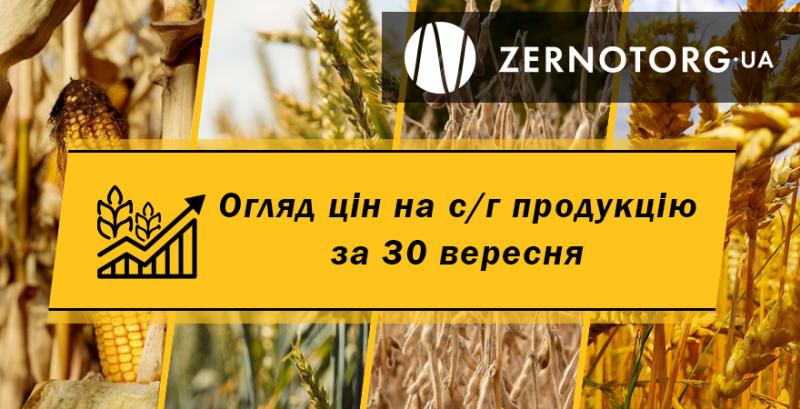 Ціна пшениці впала — огляд за 30 вересня