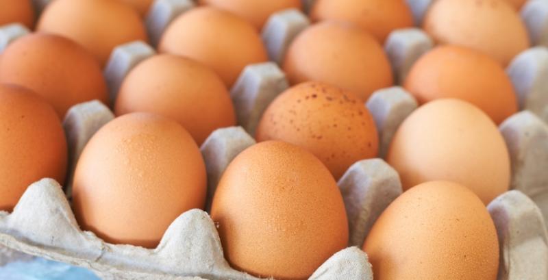 АМКУ перевіряє причини різкого росту ціни яєць