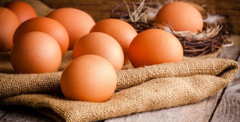 Закупівельні ціни на курячі яйця стабілізувались