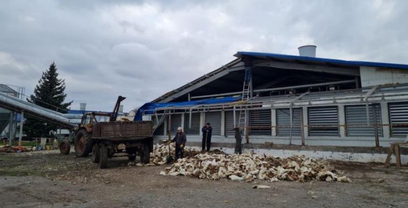 На Донеччині окупанти знищили одне з найбільших підприємств із виробництва яєць