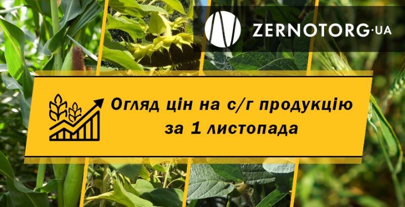 Ціни на зернові та олійні — огляд за 1 листопада від Zernotorg.ua