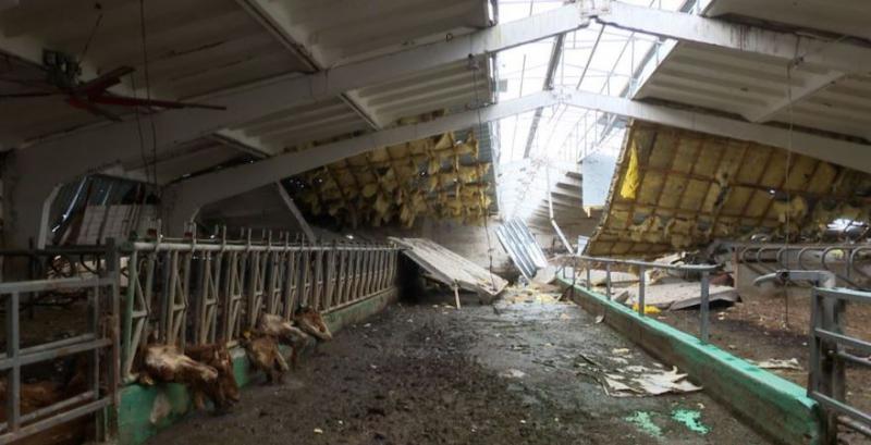 На Харківщині окупанти знищили найбільшу молочну ферму