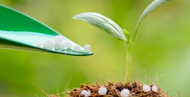 Ціни на мінеральні добрива — прайс Хімагро за 7 листопада