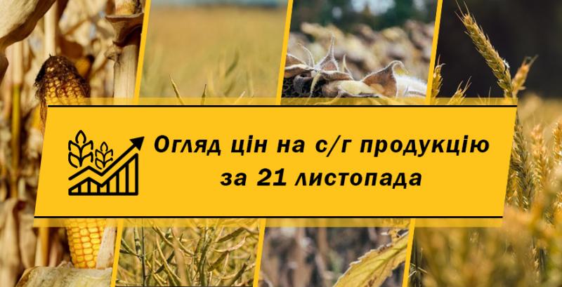 Попри продовження зернового коридору активність на українському зерновому ринку обмежена