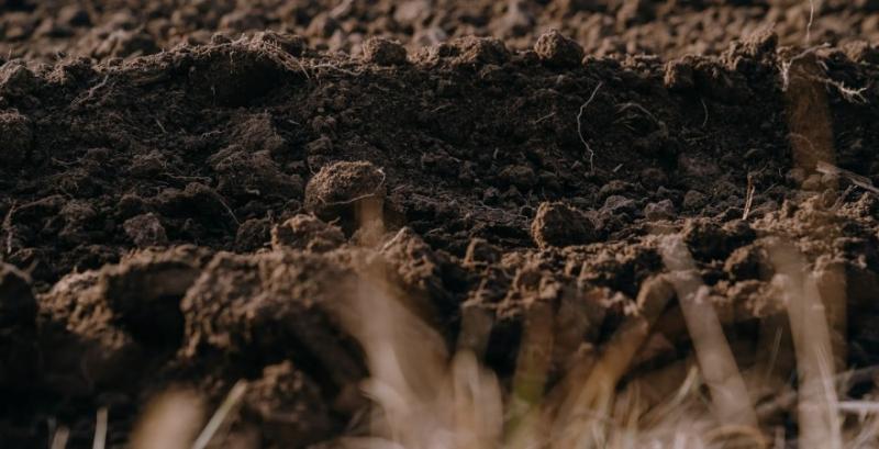 Експерти шукатимуть шляхи відродження ґрунтів, що постраждали внаслідок війни