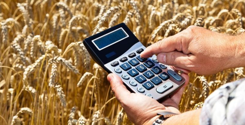 На Миколаївщині врожай зернових майже вдвічі нижчий торішнього