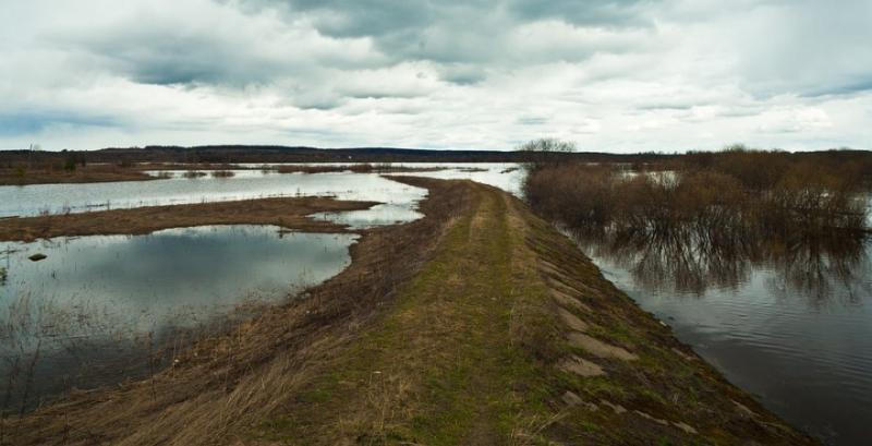 На полях Львівщини спостерігається локальне затоплення посівів