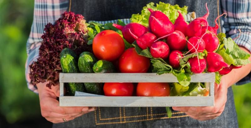 ФАО оголосило тендер на закупівлю насіння овочів