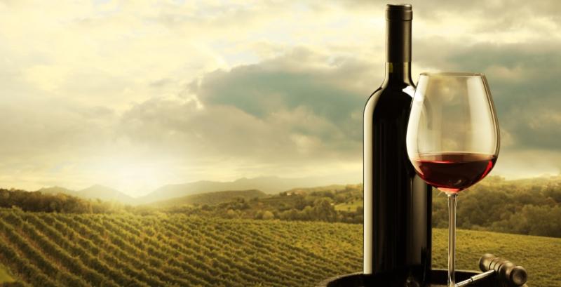 Україна планує відмовитись від ліцензій для малих виробників вина