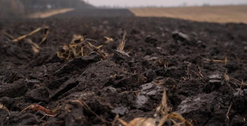 Експерт розповів, які проблеми в України з ґрунтами 
