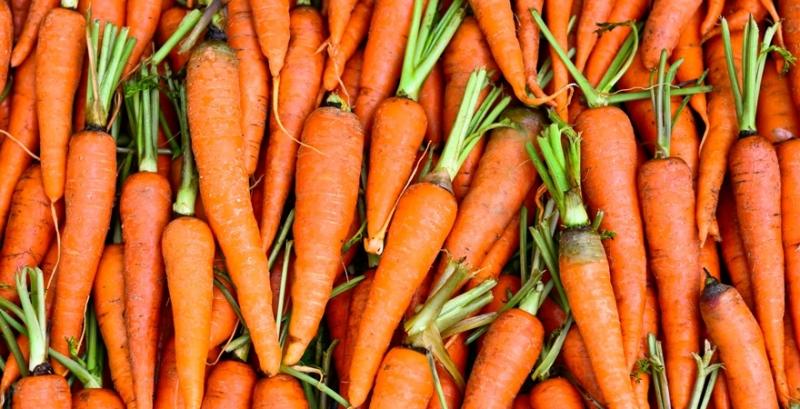 На українському ринку дефіцит моркви