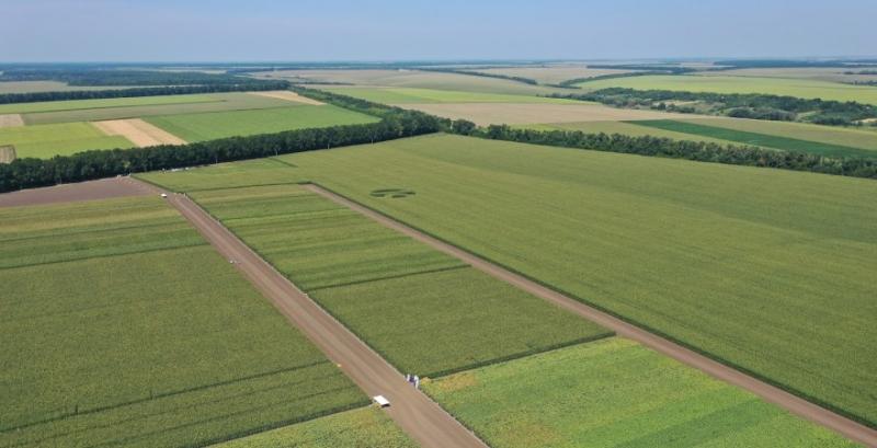 Власників паїв можуть позбавити землі у прикордонній зоні з росією та білоруссю