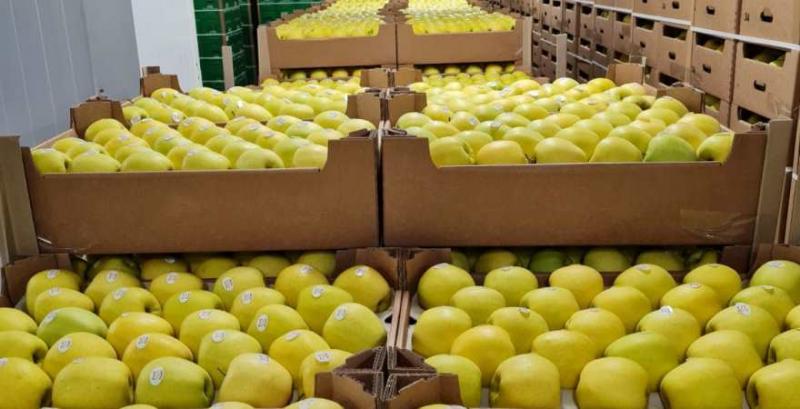 Українські яблука продаватимуть в Грузії Українські яблука продаватимуть в Грузії