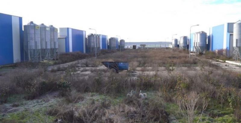 Чорнобаївська птахофабрика поки не зможе відновити роботу Чорнобаївська птахофабрика поки не зможе відновити роботу