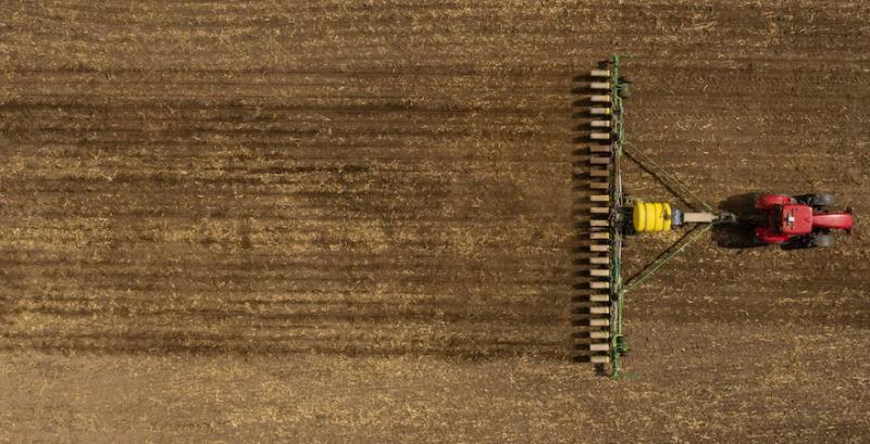 Посівна соняшнику: скільки гектар засіяли аграрії