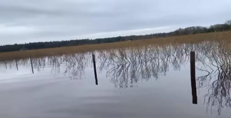 На Черкащині затопило ягідне господарство