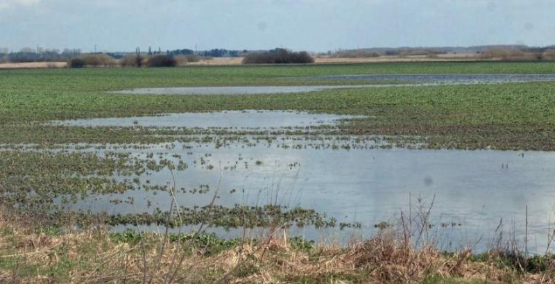 В Україні зменшилась площа підтоплення сільгоспугідь
