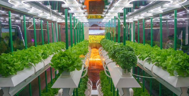 На Agritechnica вперше представлять інноваційні рішення у вертикальному фермерстві