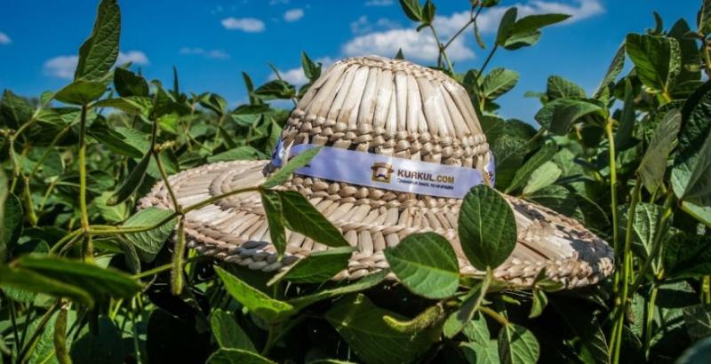 Kurkul.com відзначає 8 річницю