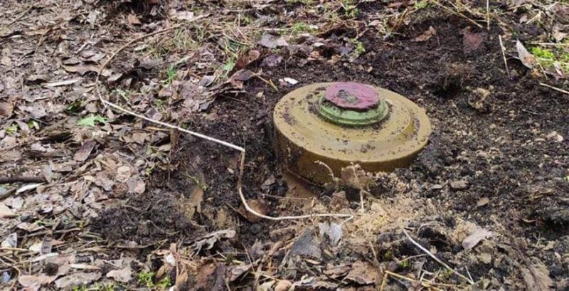 Дрібні фермери через війну зазнали збитків майже на $4 млрд 