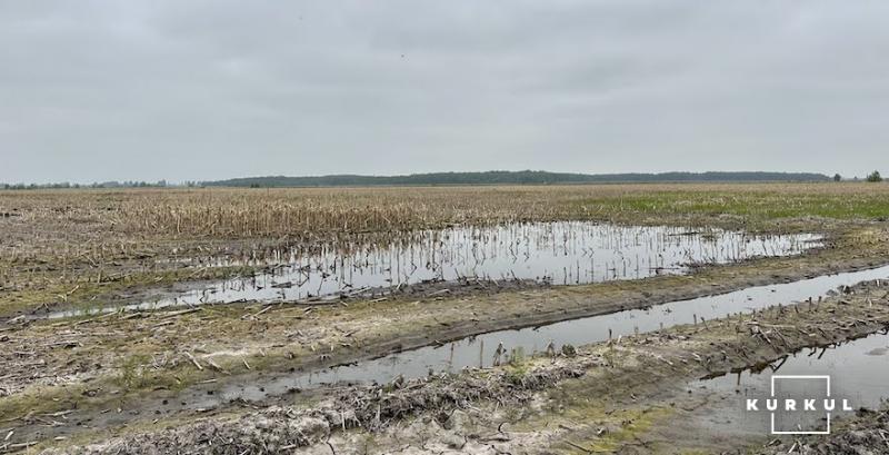 Через підрив Каховської ГЕС відбудеться заболочення осушених земель