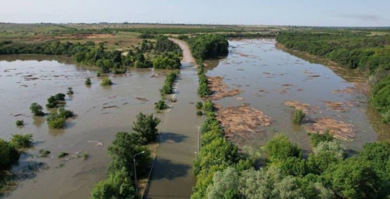 Аграрії Півдня ще довгі роки не зможуть вирощувати кукурудзу та сою — фермер