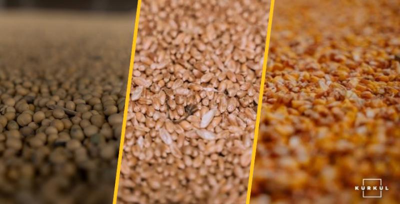 На Волині збудують два «сухі порти» для експорту зернових та олійних На Волині збудують два «сухі порти» для експорту зернових та олійних