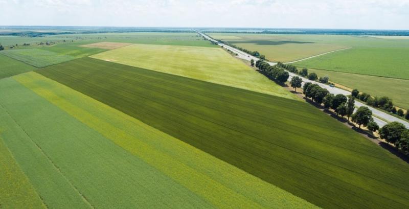 В Україні ціни на землю виросли на 20%