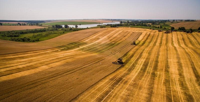 В Україні намолочено перший мільйон тонн зерна нового врожаю