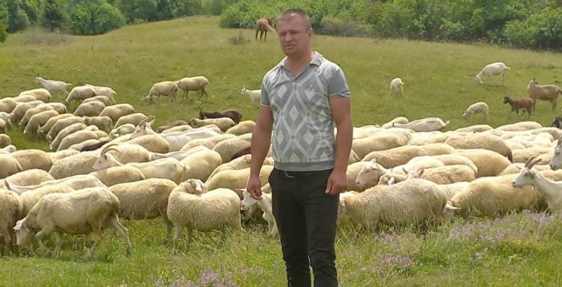 Вівчар з Буковини планує збільшити поголів’я овець до 500 вівцематок Вівчар з Буковини планує збільшити поголів’я овець до 500 вівцематок