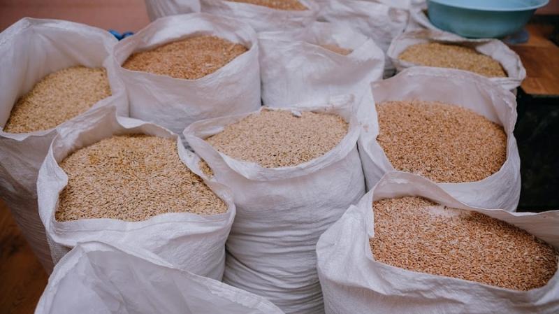 Ціни на пшеницю підскочили після обстрілу портів Одещини