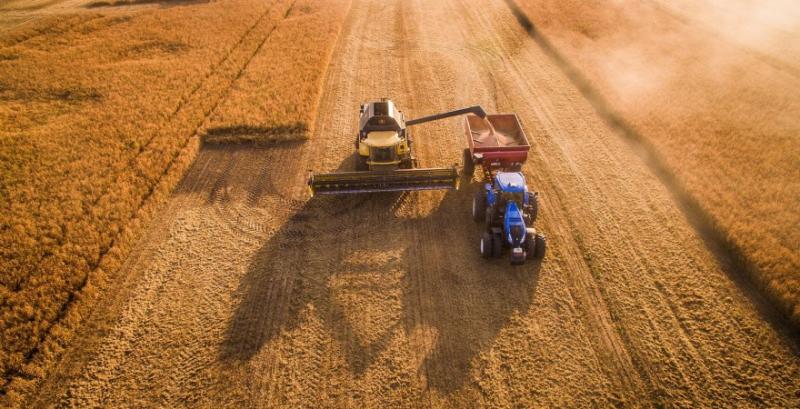 Аграрії України завершують збір пшениці та ячменю врожаю 2023