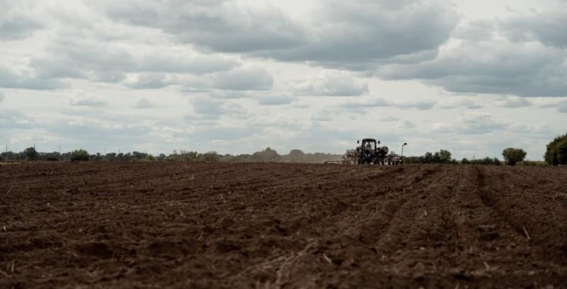 В Україні розпочалась посівна озимих зернових під врожай 2024