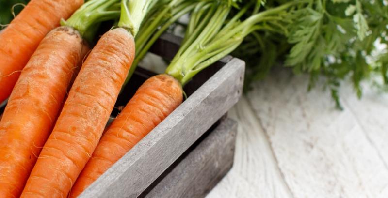 Через ускладнений збут фермери змушені знижувати ціни на моркву