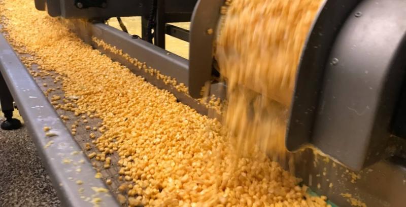 Наближення активної фази жнив кукурудзи все більше тисне на ринок — аналітики