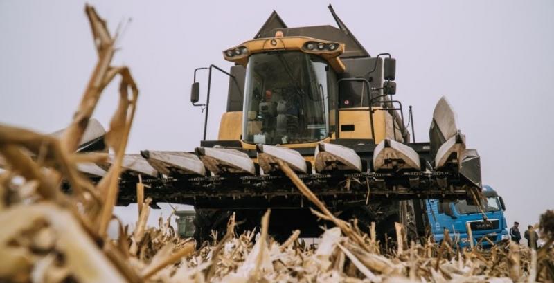В США обмолочено 15% врожаю кукурудзи