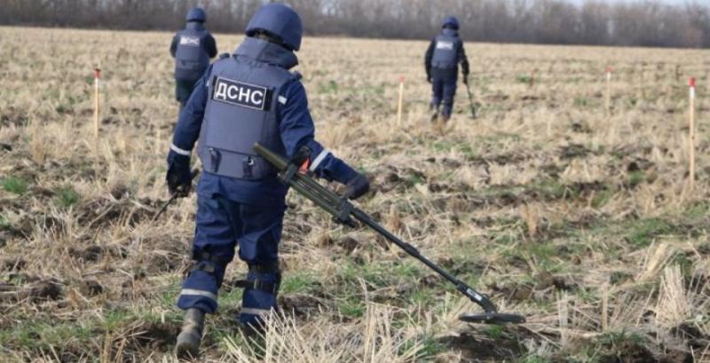 В Україні обстежено майже 50% сільгоспземель для пріоритетного розмінування