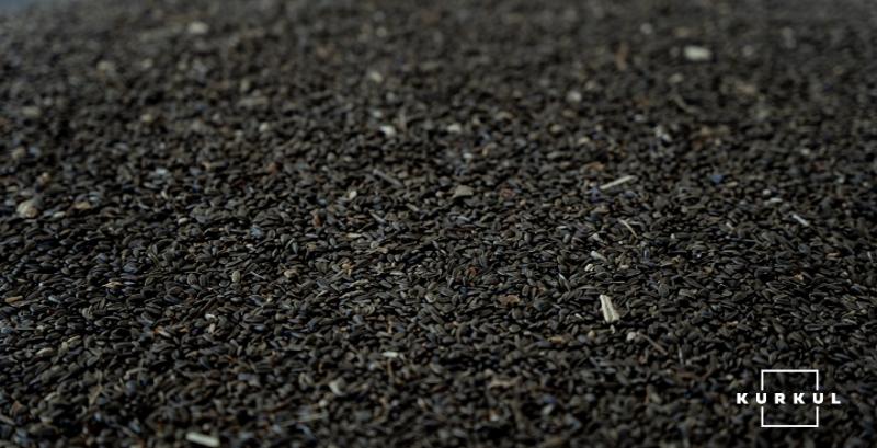 Окупанти почали вивозити з тимчасово окупованого Маріуполя український соняшник