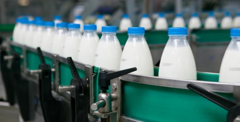 Прогнозується зростання виробництва молока у промисловому секторі