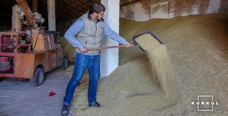 Ціни на пшеницю тримають премію відносно цін на кукурудзу