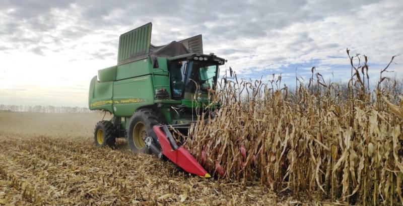Врожай кукурудзи перевищив 23 млн т
