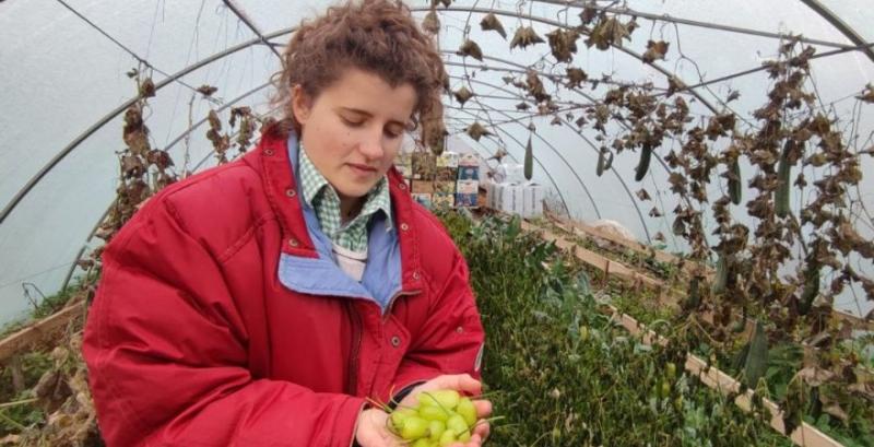 Фермерка з Вінниччини отримала два гранти на розвиток мікробізнесу Фермерка з Вінниччини отримала два гранти на розвиток мікробізнесу