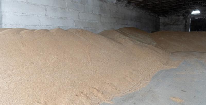 росія на пів року запровадила заборону на експорт твердої пшениці